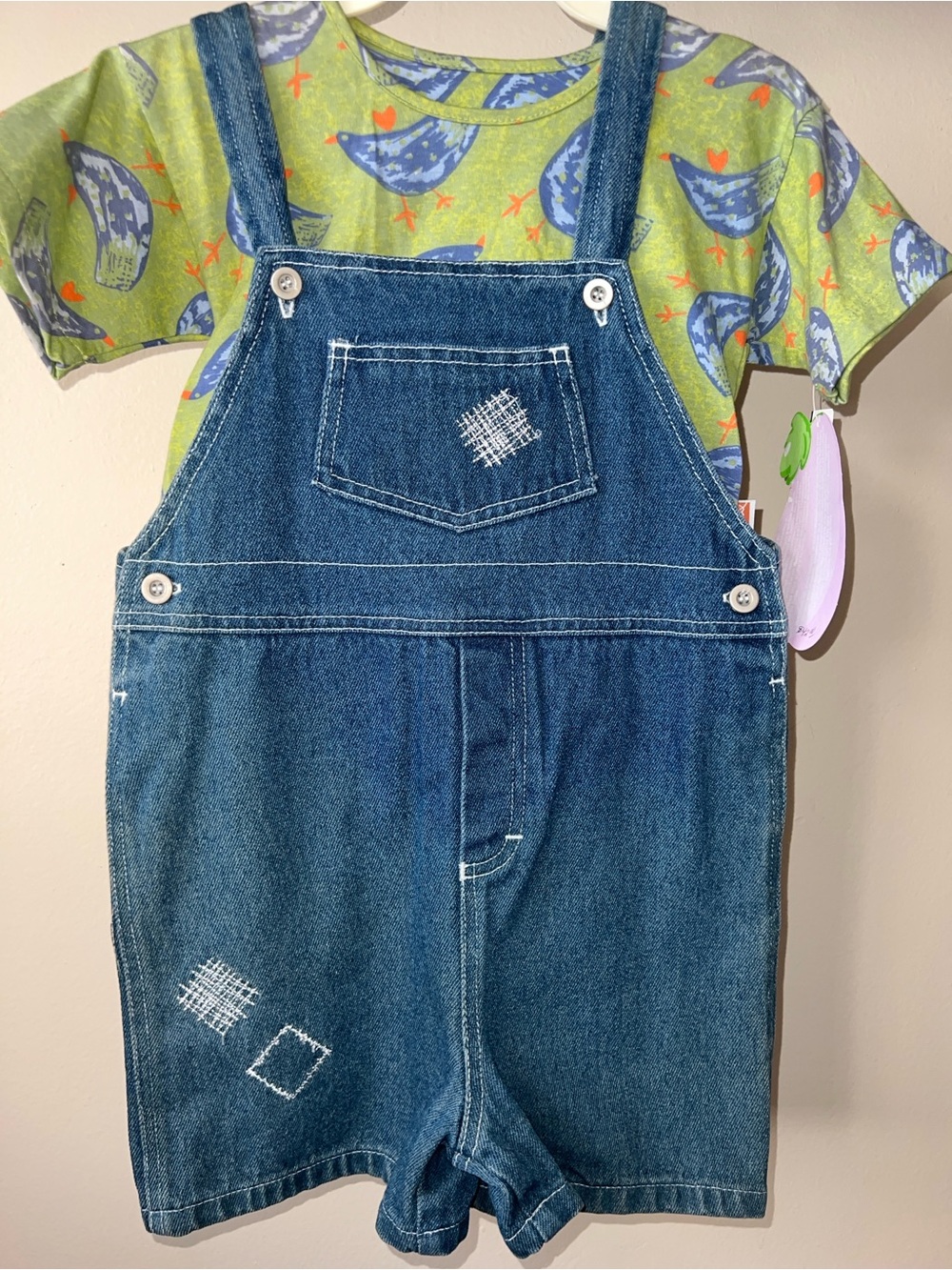 Vintage Denim Shortalls with Bird Print Tee - Blue and Green